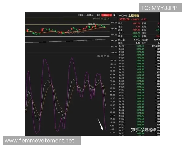 杭州与广州排球队赛后技术分析与战术复盘探讨