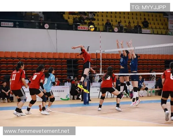 赛后分析：广州排球队与重庆排球队实力对比及未来展望