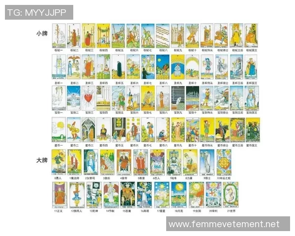 从零开始:飞盘意识完全攻略 从零开始:飞盘意识完全攻略