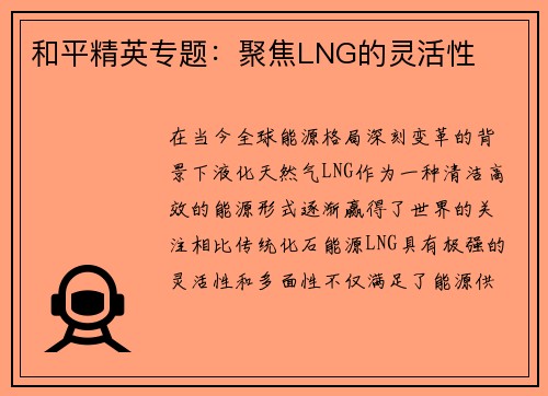和平精英专题：聚焦LNG的灵活性